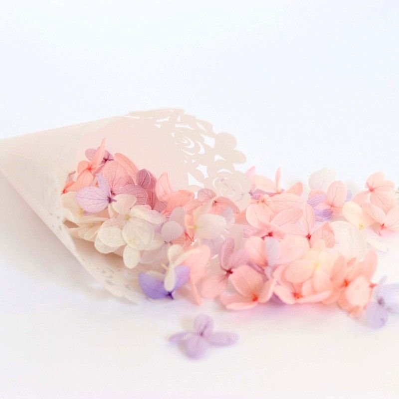 Simple Creative Wedding Laser Hollow Rose Confetti Paper Flower Flower Tube